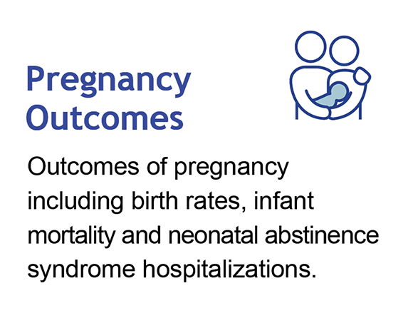 Pregnancy Outcomes Quick Link