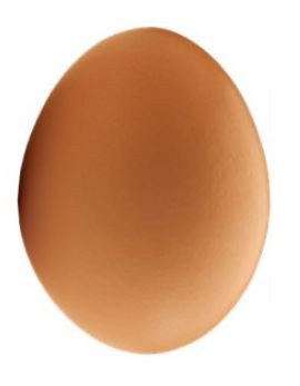 Egg Day 7