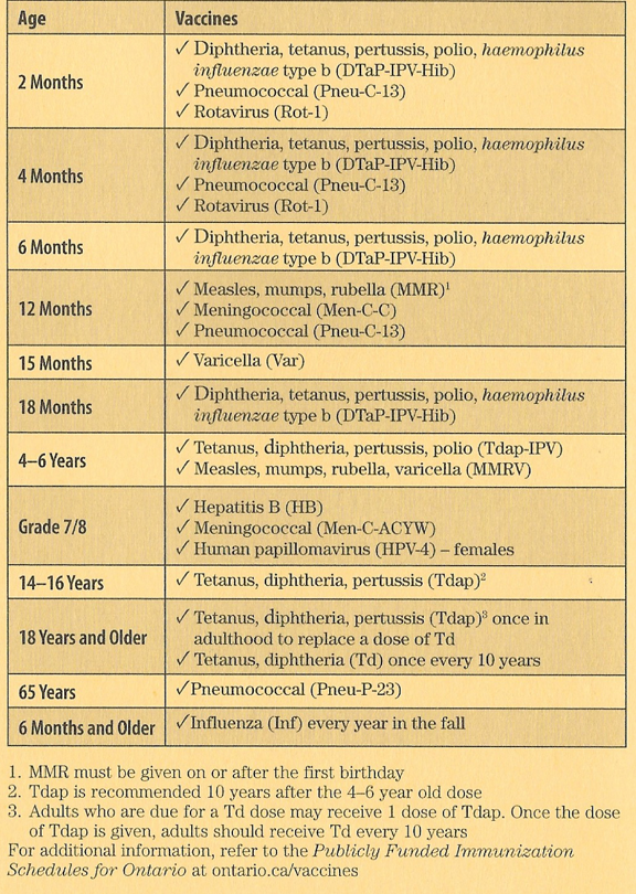 Immunization Requirements For Attending School In Ontario   Immscard 